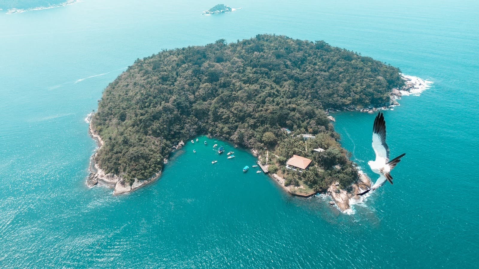 Saco do Mamanguá | Compartilhado